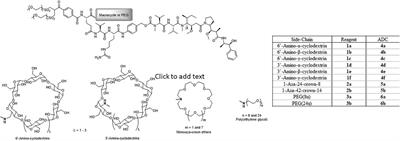 Incorporation of Hydrophilic Macrocycles Into Drug-Linker Reagents Produces Antibody-Drug Conjugates With Enhanced in vivo Performance